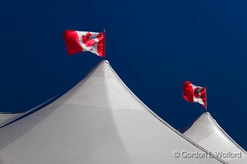 Tent Tops_05437.jpg - Photographed at Buckhorn, Ontario, Canada.